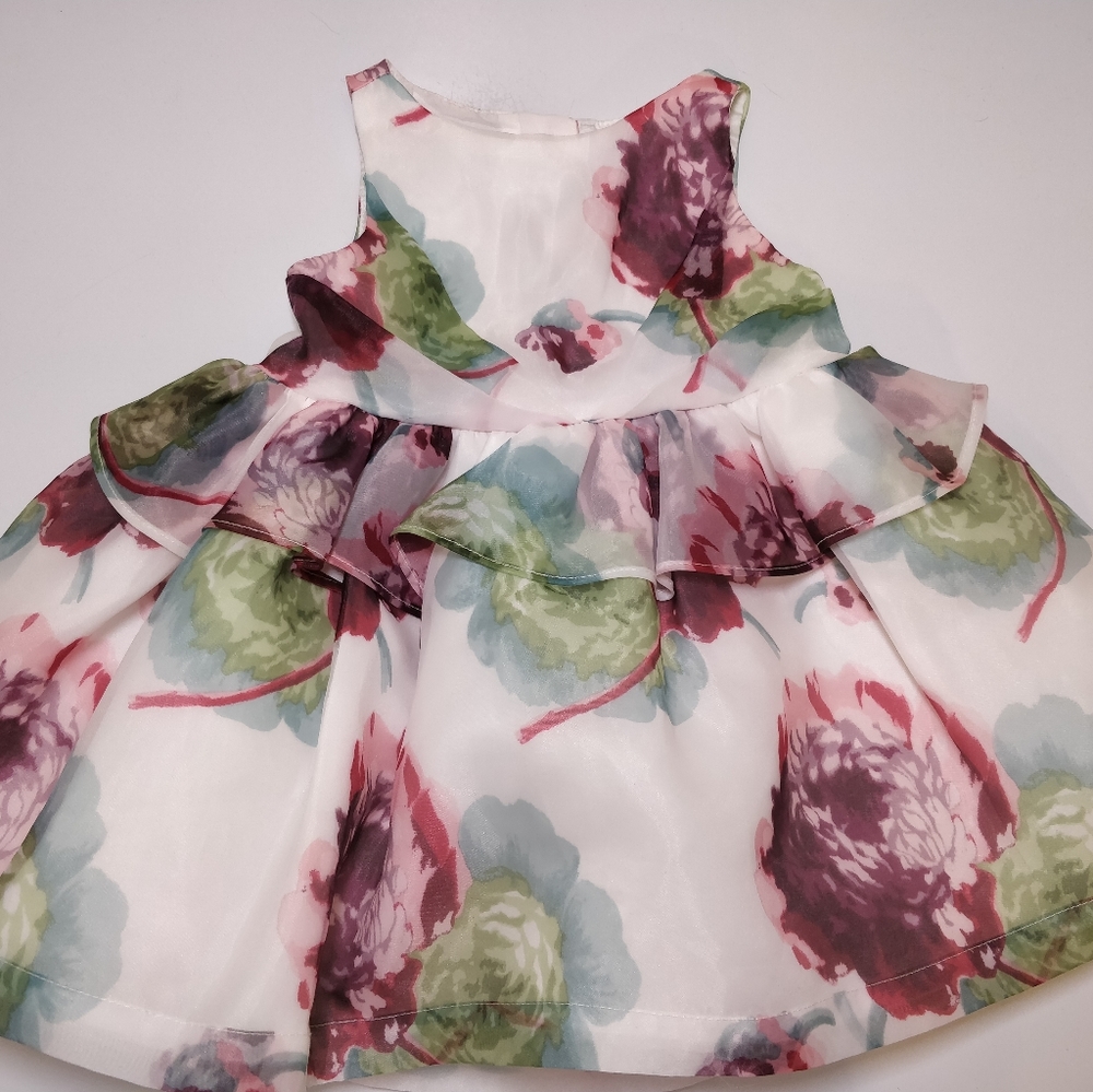 Janie and Jack Baby Girl Dress Chiffon 3 to 6m